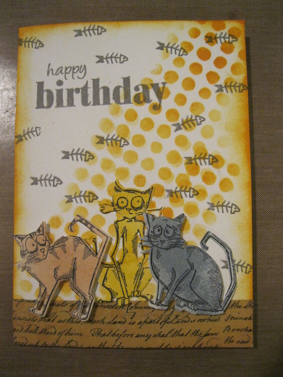 Happy Birthday Cats