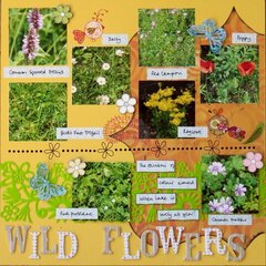 Wild Flowers
