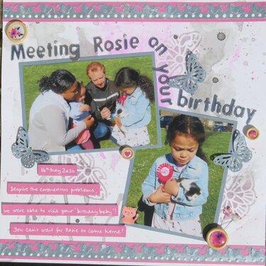 Meeting Rosie on your birthday