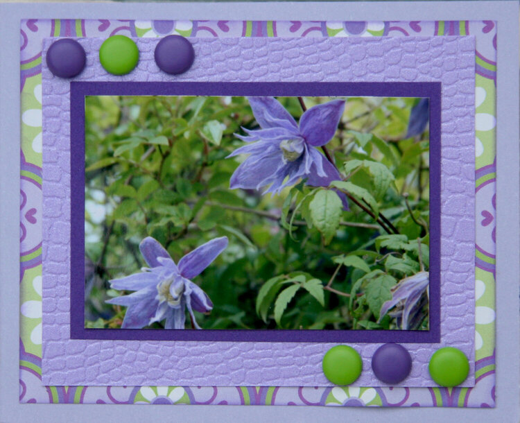 Mini purple card