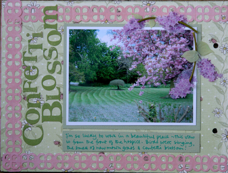 Confetti blossom - My Week mini album p5