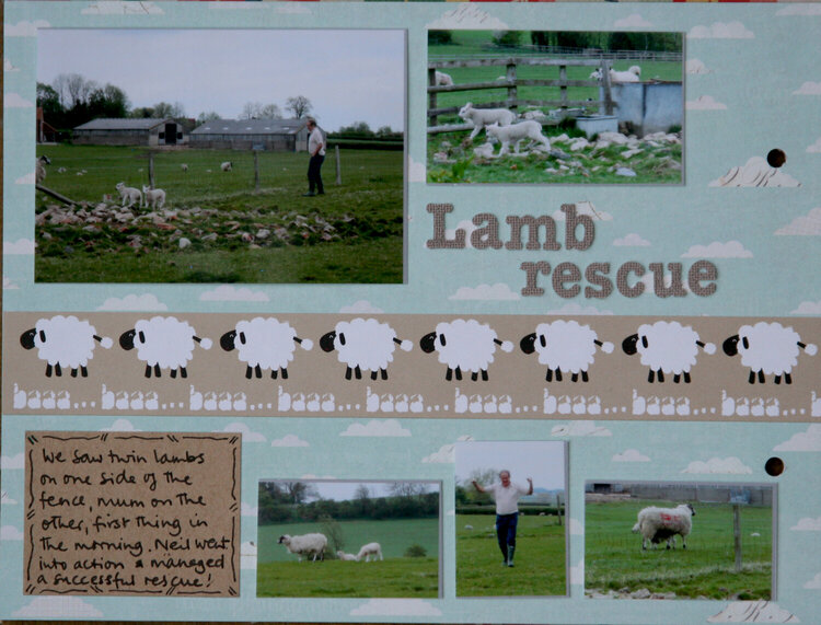 Lamb rescue p7