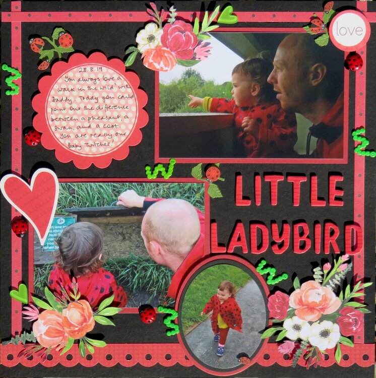 Little Ladybird