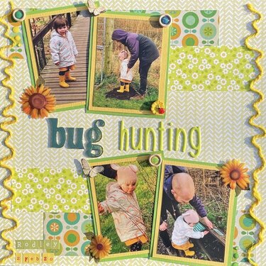 Bug hunting