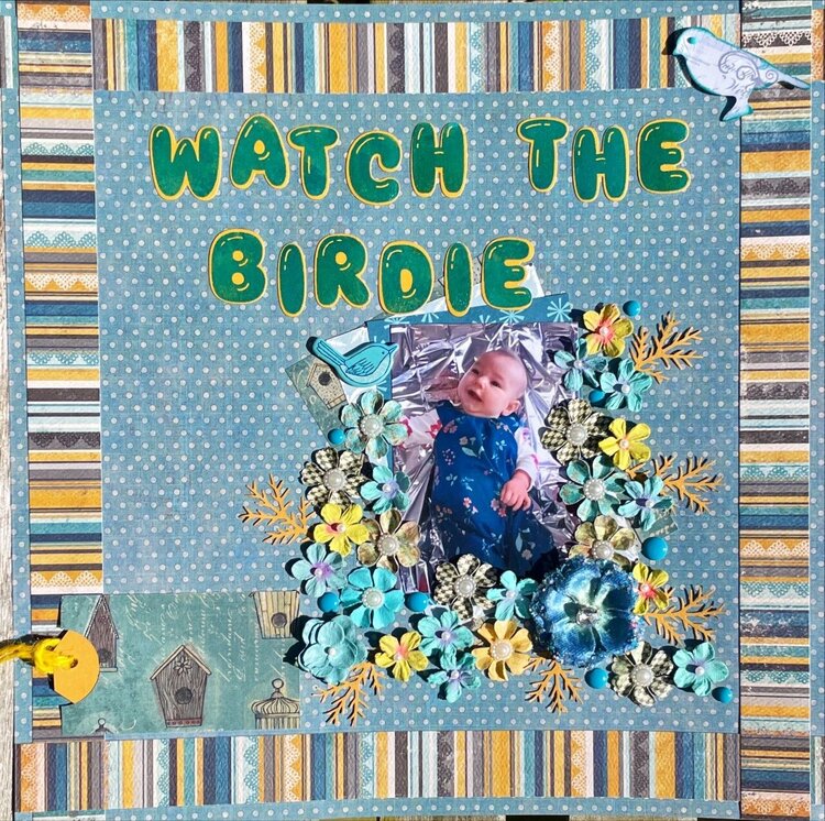 Watch the birdie