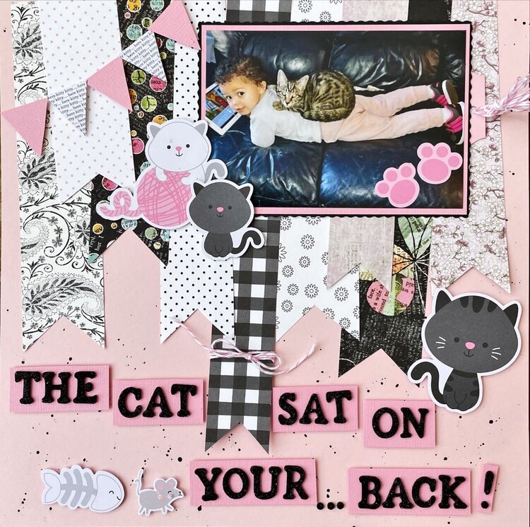 The cat sat on your back!