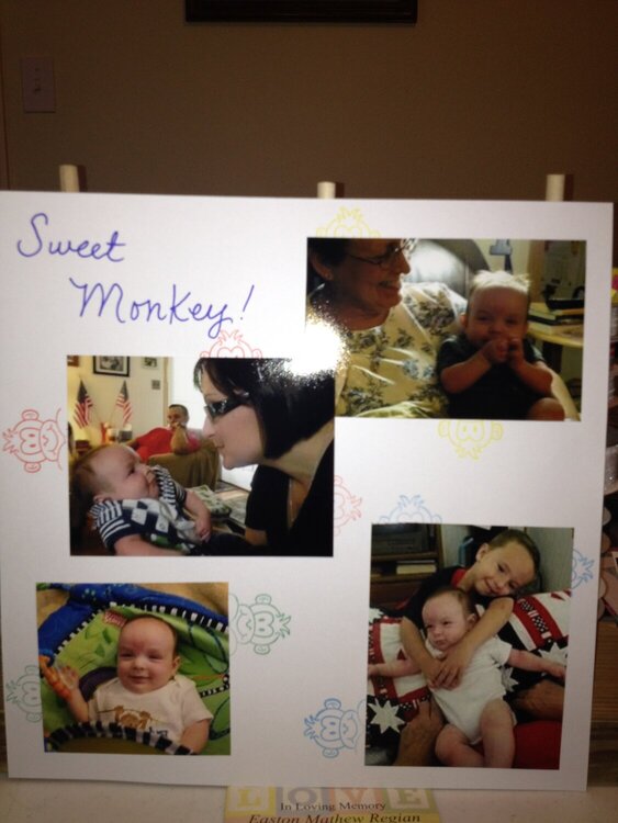 sweet monkey