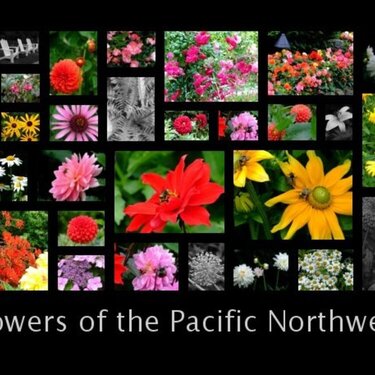 Flowers of the Pacific Northwest