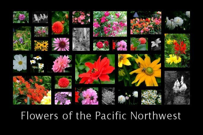 Flowers of the Pacific Northwest