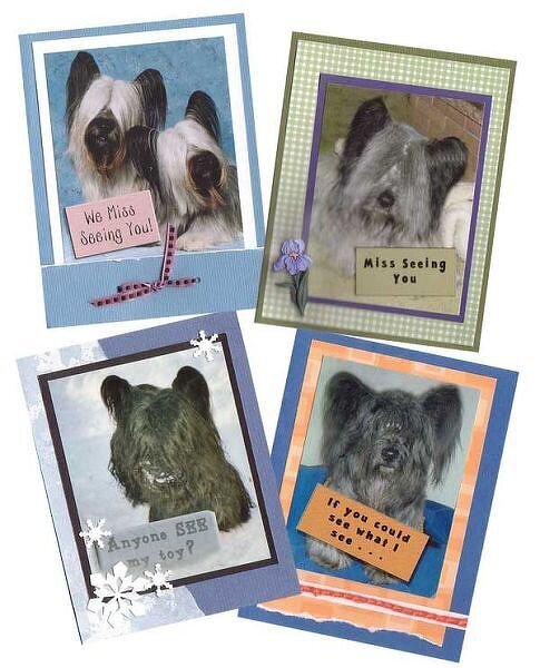 DWD 2006 Pet Cards