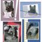 DWD 2006 Pet Cards