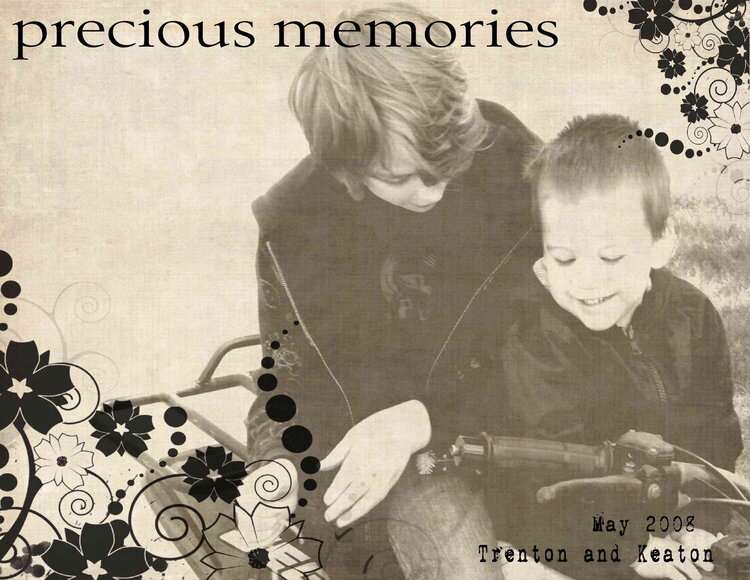 precious memories