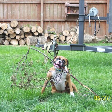 Playing With Sticks