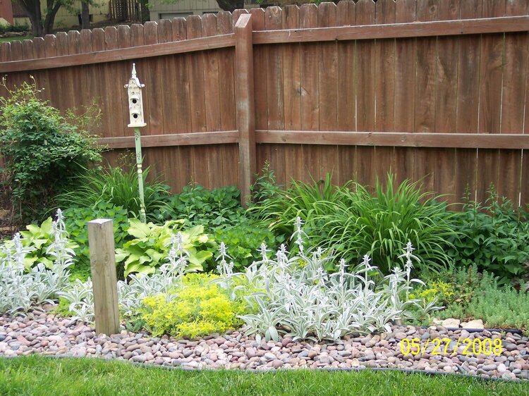 Backyard Garden