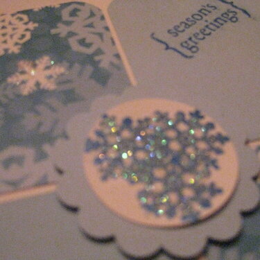 snowflakes (close up shot)