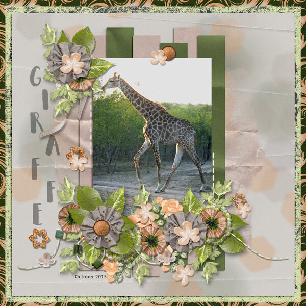 Giraffe