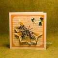 Money butterfly card