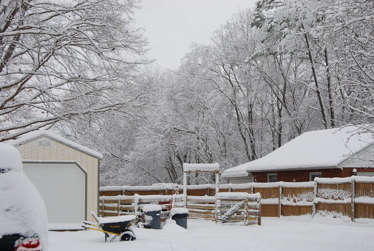 snow day