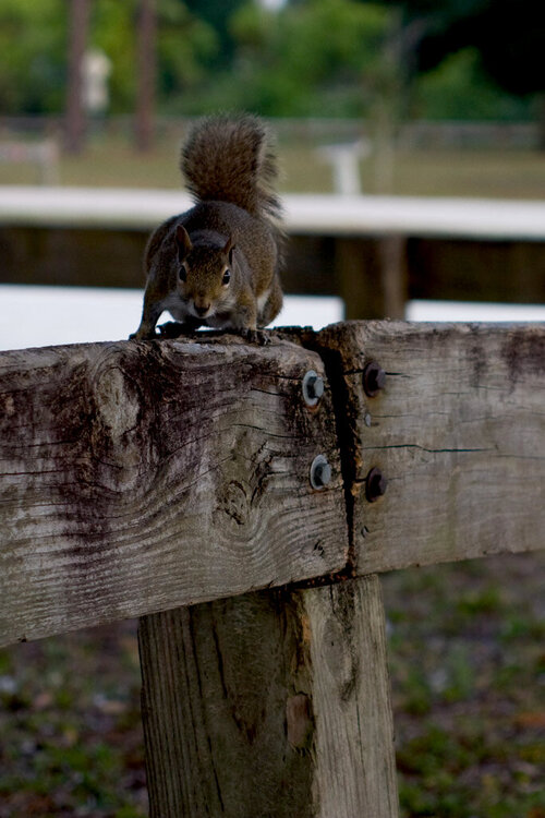 June 16 - What Are You Looking At?