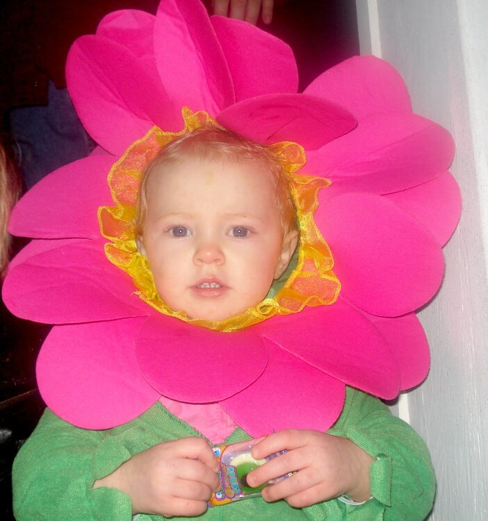My favorite PRIMA flower:  Rowyn&#039;s first trick or treat night-