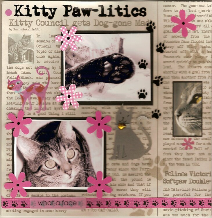 Kitty Paw-litics
