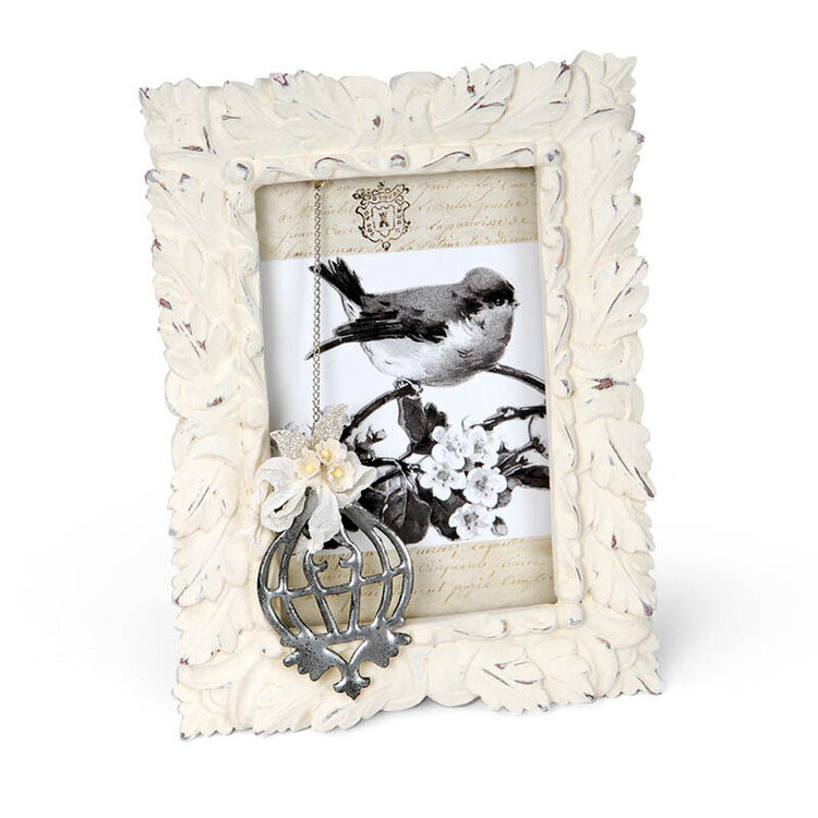 Shabby Birdcage Frame