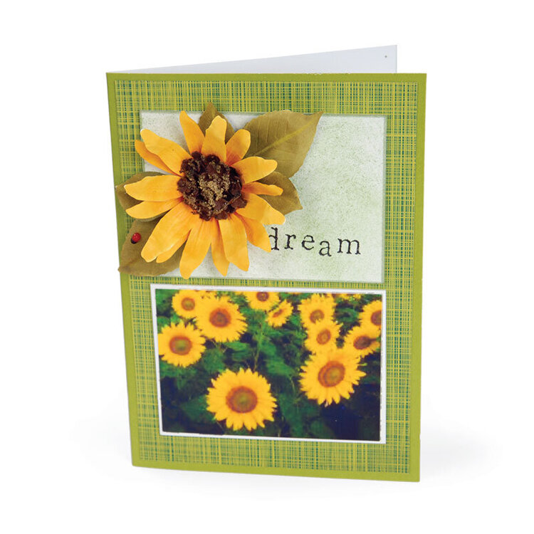 Sunflower Dreams Card by Susan Tierney-Cockburn