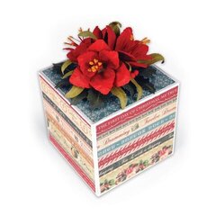 Amaryllis Gift Box by Susan Tierney-Cockburn