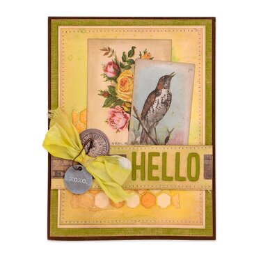 Hello Bird Card #2