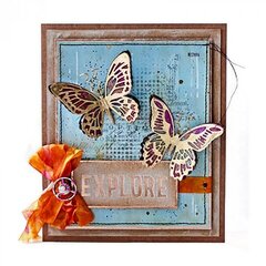 Explore Butterflies Frame