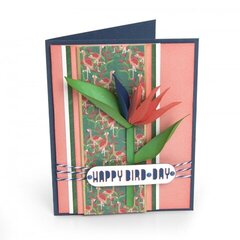 Happy Bird-Day Card