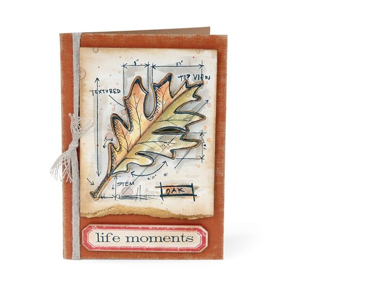life moments by Tim Holtz