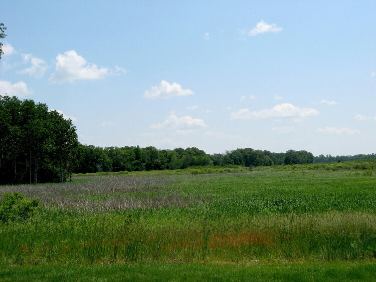 PaD - June 22, 2008 - Nature Preserve