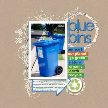 blue bin recycling