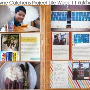 Project Life Week 11