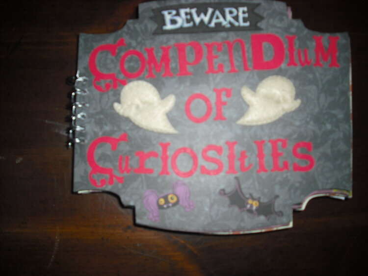 Book of Curiousities Cover