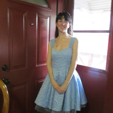 The Cinderella Dress