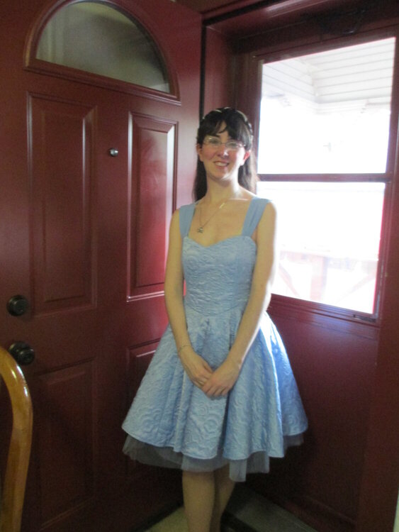 The Cinderella Dress