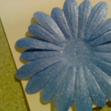 Blue Sapphire Mist flower