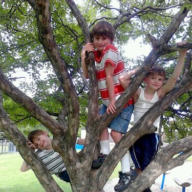 Nico, Louie and Hopper in a tree