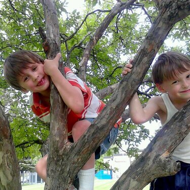 Louie and Hopper in a tree.