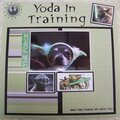 Yoda in Training