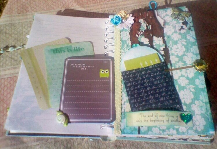 &quot;High on Life&quot; Journal