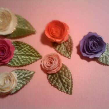 Paer roses