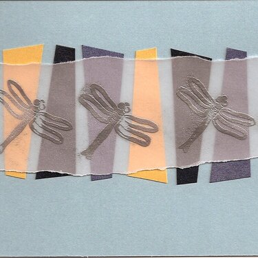 Any Occasion Dragonfly Card