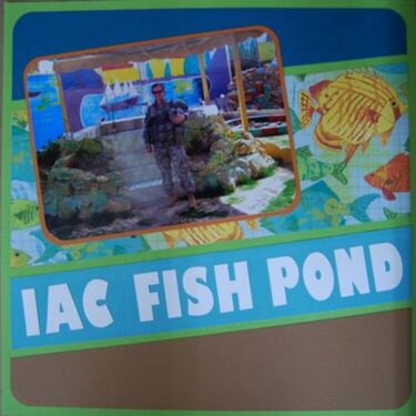 IAC Fish Pond