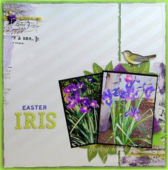 Easter Iris