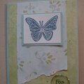 Butterfly Card