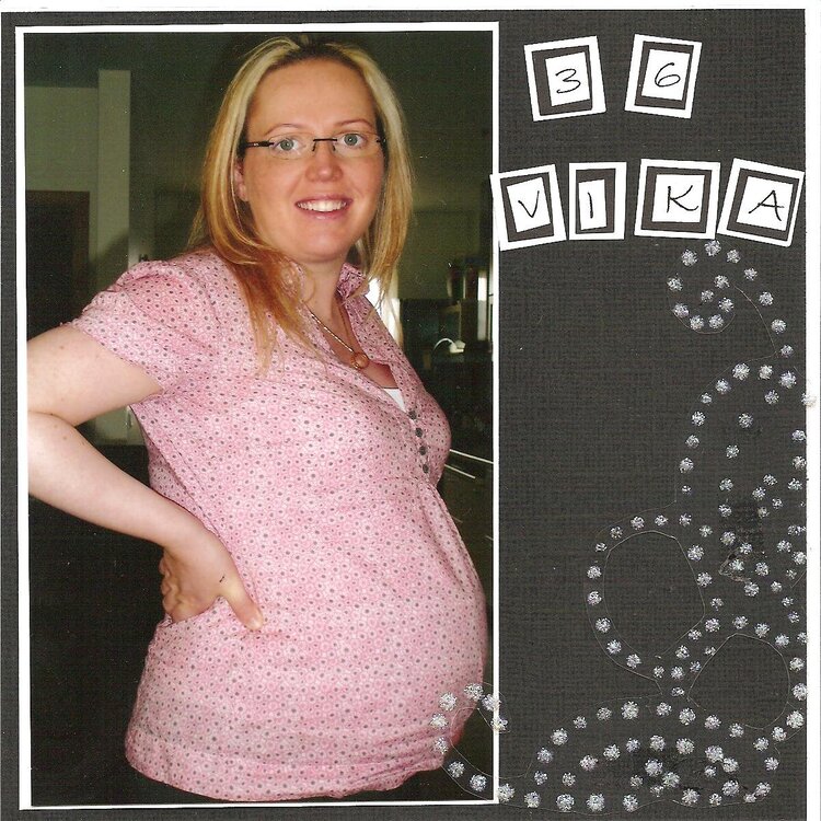 my pregnancy album 36 weeks