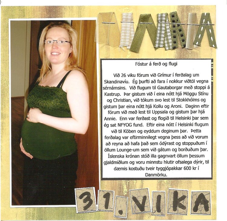 my pregnancy album, 31 weeks, flying around